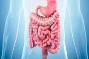 The reality of modeling irritable bowel syndrome: progress and challenges